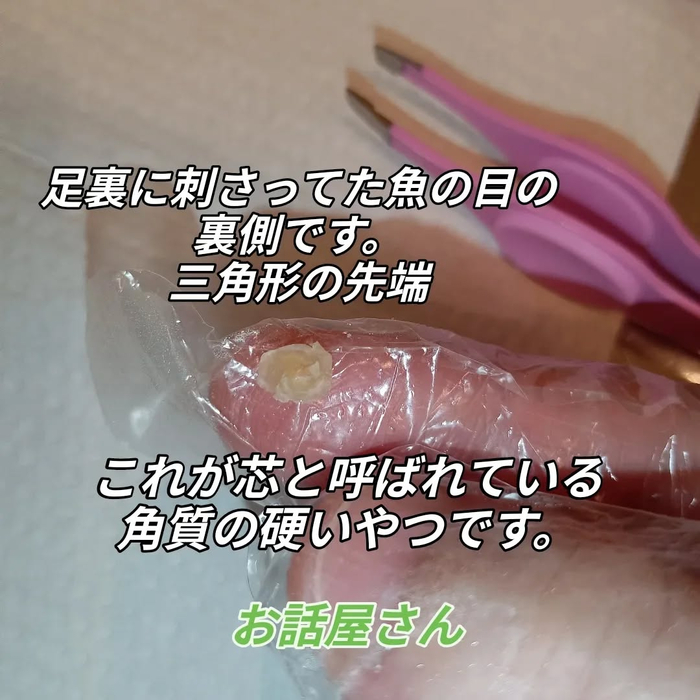 画像7037
