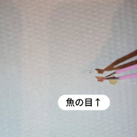 画像7042