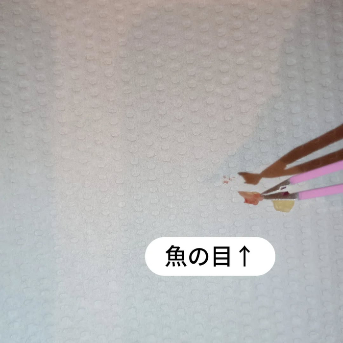 画像7042