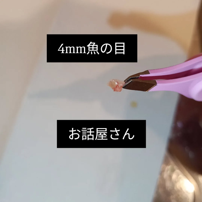 画像7081