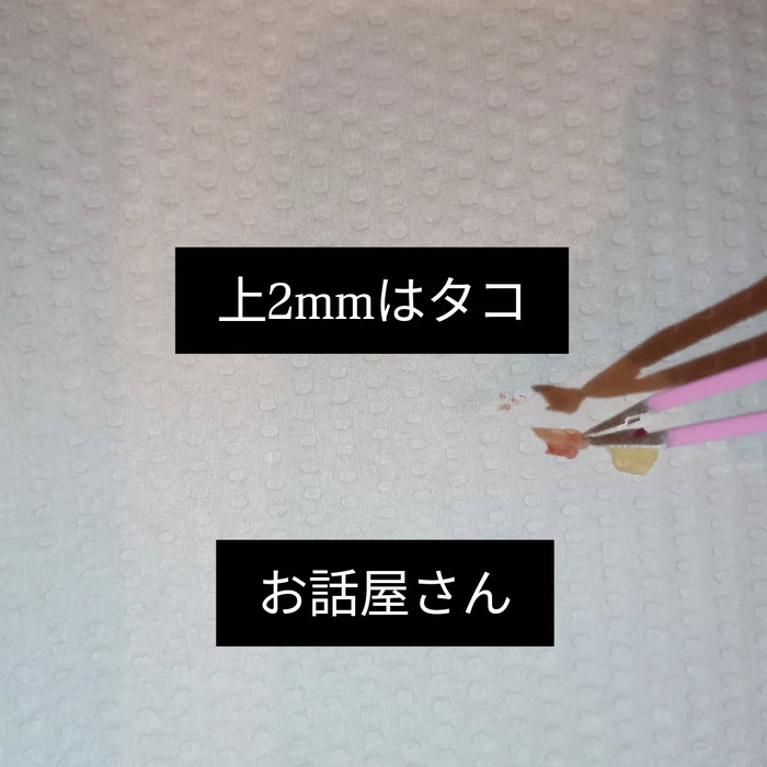 画像7082