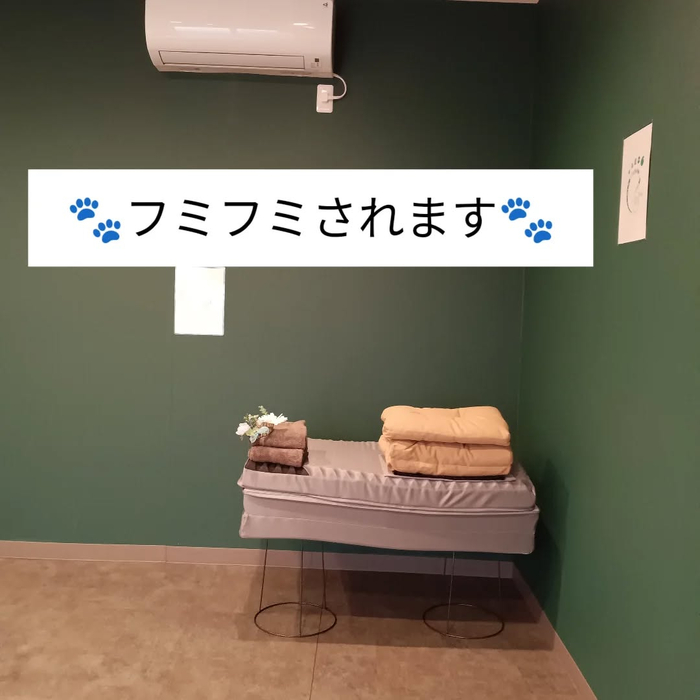 画像7199