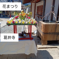 画像7206