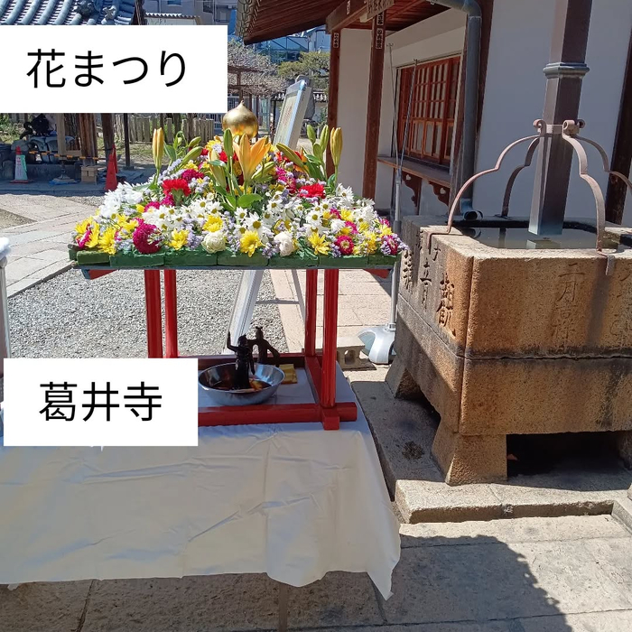 画像7206