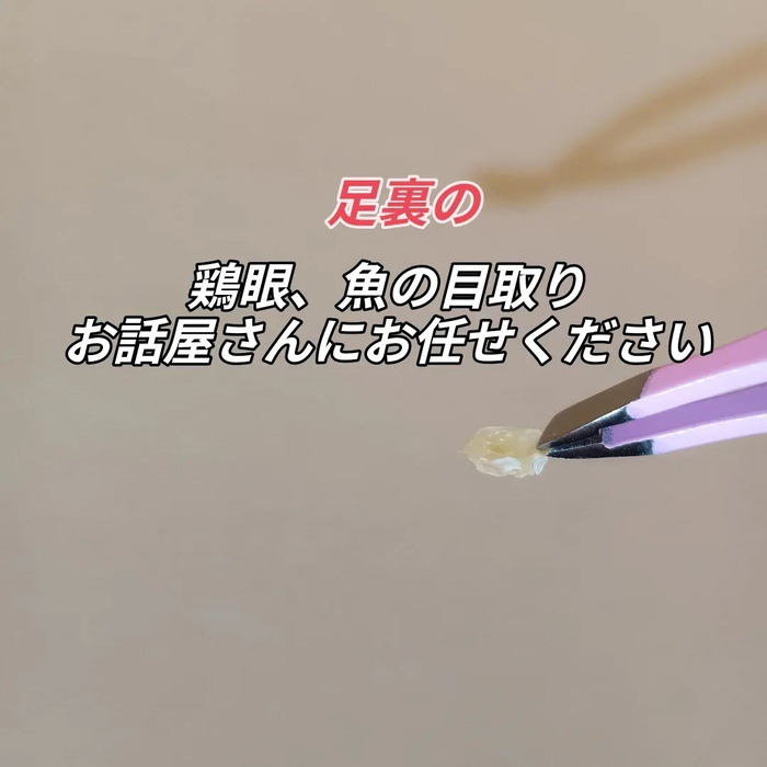 画像7227