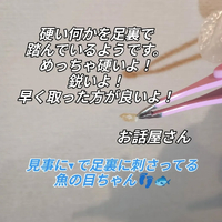 画像7228