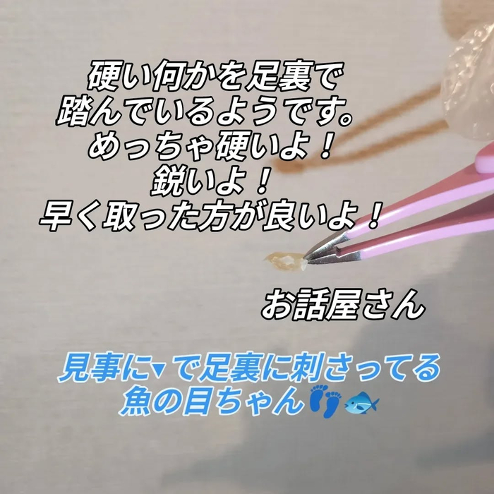 画像7228