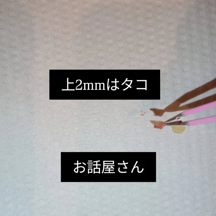 画像7230