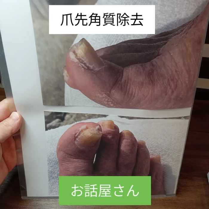 画像7253