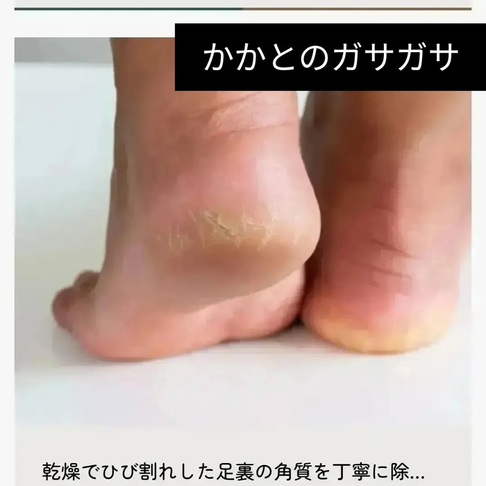 画像7262