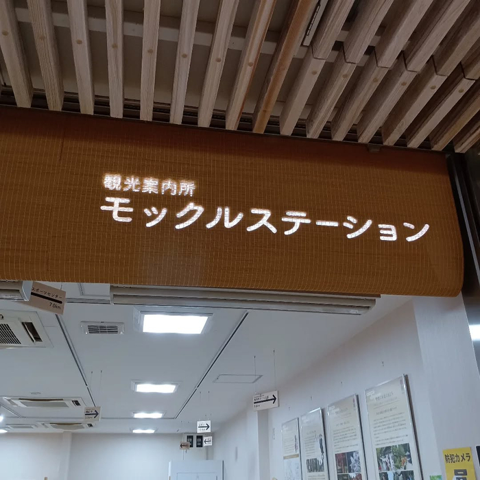画像7388