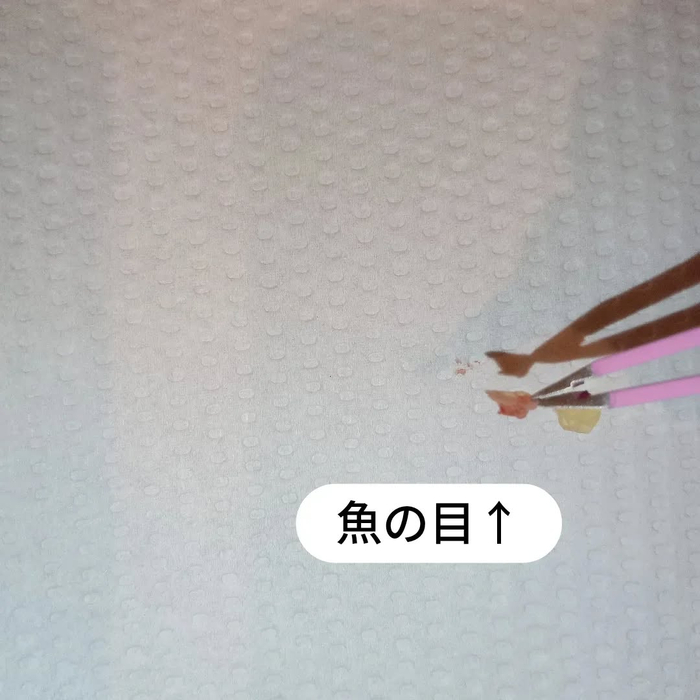 画像7422