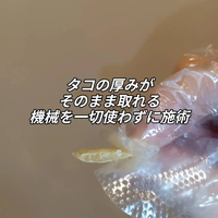画像7440