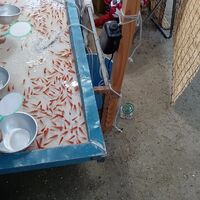 画像752