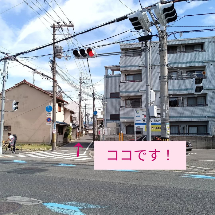 画像7680