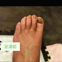画像7717