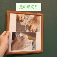 画像7722