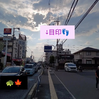 画像7785