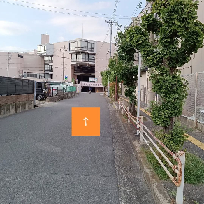 画像7854