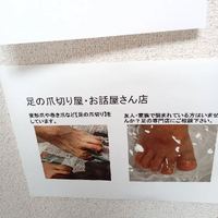画像7856