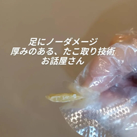 画像7886
