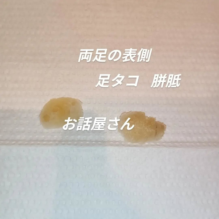 画像7887