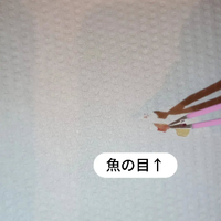 画像7888