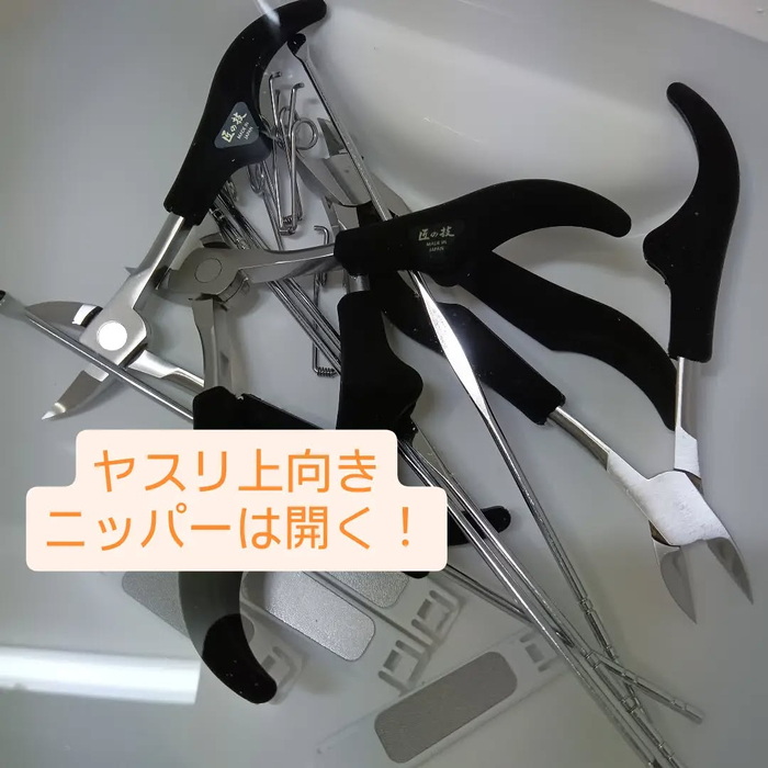画像7898