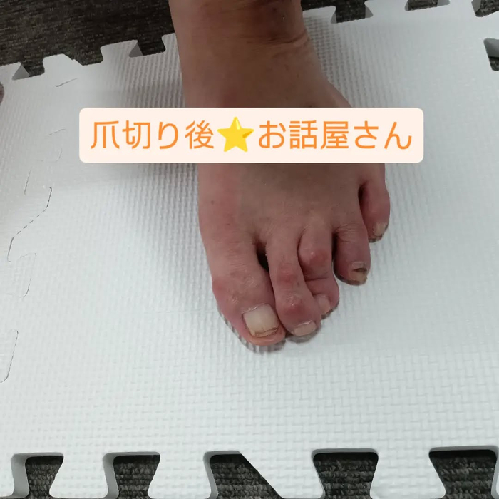 画像7913