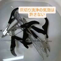 画像7982