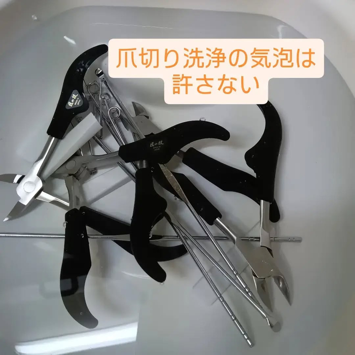 画像7982