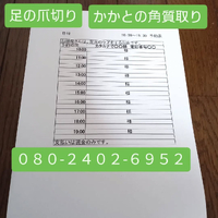 画像7988