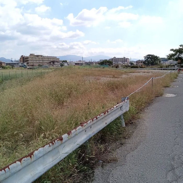 画像7994