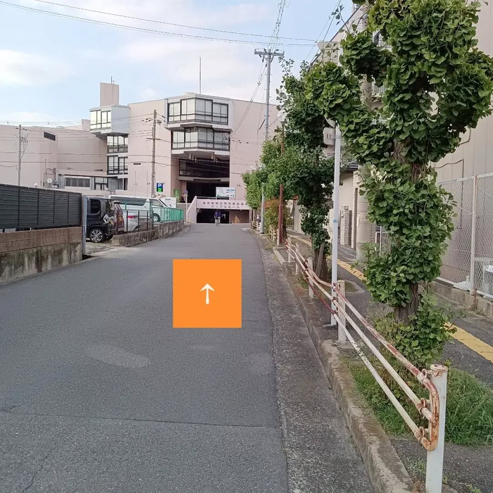 画像8020