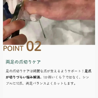 画像8038