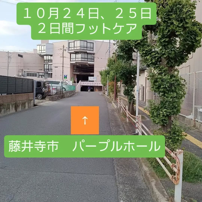 画像8048