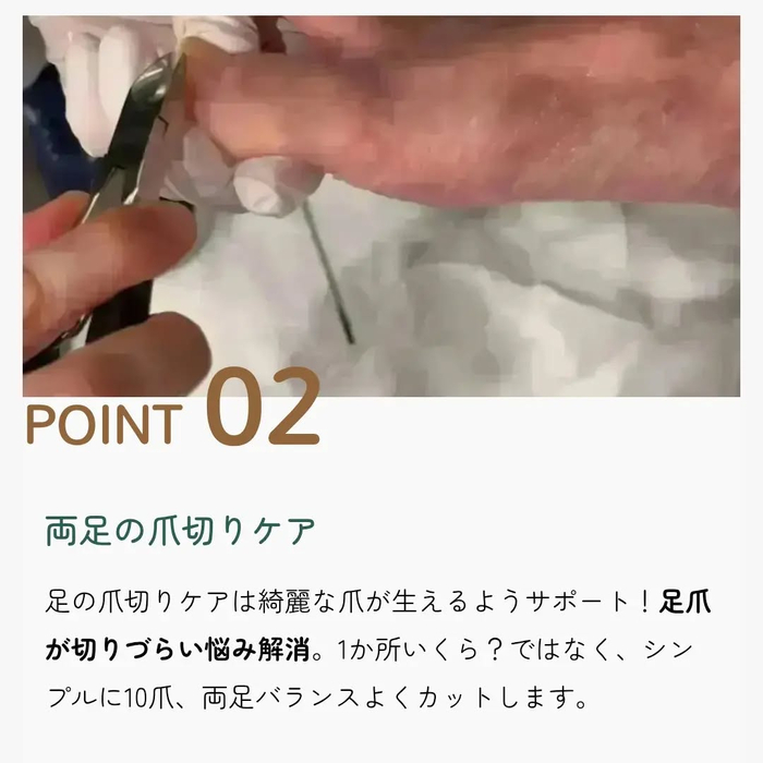 画像8051