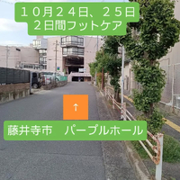 画像8053
