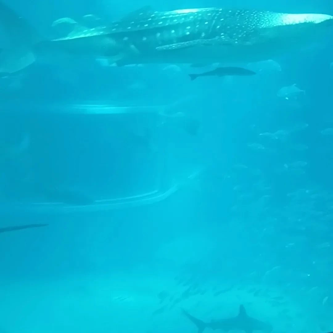 画像932